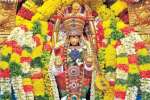 விறகு விற்ற லீலையில் அலங்காரத்தில் மீனாட்சி அம்மன்