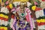 இம்மையிலும் நன்மை தருவார் கோயிலில் பொன்னூஞ்சலில் அம்மன்