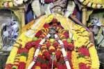 மவுனகுரு சுவாமி கோயிலில் பாலாபிஷேகத்துடன் நடந்த குருபூஜை