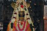 திருக்காமீஸ்வரர் கோவிலில் அன்னாபிஷேக விழா