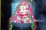 சீதப்பட்டீஸ்வரர் கோவிலில் அன்னாபிஷேகம்