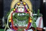 சூலூர் சிவாலயங்களில் அன்னாபிஷேகம்