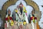 பாலசுப்பிரமணியர் கோவிலில் கிருத்திகை விழா