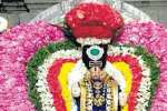 திருப்போரூர் கந்தசுவாமி கோவிலில் கிருத்திகை விழா