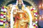 தேவபாண்டலத்தில் மகா சண்டி ஹோமம்