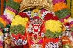 திருத்தணி முருகன் கோவிலில் அபிஷேகம் திருமண பதிவு துவங்க வேண்டும்