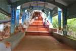 ஸ்ரீவாரிமெட்டு மார்க்கத்தில் பக்தர்களுக்கு அனுமதி