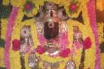விளமல் பதஞ்சலி மனோகரர் கோயிலில் சிறப்பு வழிபாடு