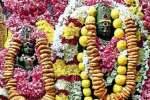 கள்ளக்குறிச்சி சிவன் கோவிலில் கால பைரவருக்கு சிறப்பு பூஜை