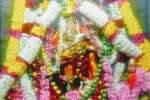 வீரட்டானேஸ்வரர் கோவிலில் தேய்பிறை அஷ்டமி விழா