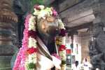 கடலூர் பாடலீஸ்வரர் கோவிலில் பிரதோஷ பூஜை