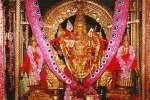 திருச்செந்துார், பழநியில் சஷ்டி விழா துவங்கியது