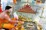 காசிவிஸ்வநாதருக்கு 108 சங்காபிஷேக விழா