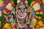 கந்தசஷ்டி விழா: சிறப்பு அலங்காரத்தில் முருகப்பெருமான் அருள்பாலிப்பு