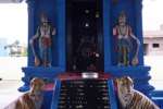 ராமநாதபுரம் ஐயப்பன் கோயிலில் பக்தர்கள் இருமுடி செலுத்தலாம்