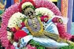 கைலாசநாதர் கோவிலில் சூரசம்ஹார சக்திவேல் வாங்கும் விழா