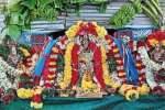 கள்ளக்குறிச்சியில் திருக்கல்யாண உற்சவம்