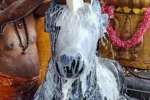 கார்த்திகை மாத பிரதோஷம் சிவாலயங்களில் வழிபாடு