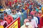 சென்னை கோவில்களில் கார்த்திகை தீப திருவிழா கோலாகலம்