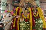 பரமக்குடி சிவன் கோயில்களில் திருக்கார்த்திகை தீபம்