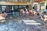 Prev temple news