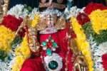 திருப்பரங்குன்றத்தில் எண்ணெய் காப்பு திருவிழா