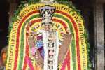 தஞ்சை பெரியகோவிலில் நடராஜருக்கு சிறப்பு அபிஷேகம்