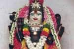 சங்கர நாராயணர் கோவிலில் தேய்பிறை அஷ்டமி வழிபாடு