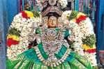 கள்ளக்குறிச்சி பெருமாள் கோவிலில் தாயார் உற்சவம்