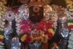 விளமல் பதஞ்சலி மனோகரர் கோயிலில் சிறப்பு வழிபாடு