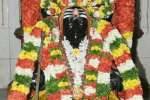 திருவையாறு தியாகராஜர் 174 வது ஆராதனை விழா: பந்தக்கால் முகூர்த்தகால்