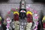குமரன் குன்று தேரோட்டம் இல்லை : பக்தர்கள் ஏமாற்றம்