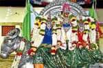 பழநி தைப்பூச விழா : வெள்ளி ஆட்டுக்கிடா வாகனத்தில் சுவாமி உலா