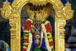 தங்க கற்பகவிருக்ஷ வாகனத்தில் ஸ்ரீரங்கம் ரெங்கநாதர் உலா