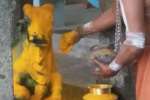 விளமல் பதஞ்சலி மனோகரர் கோயிலில் பிரதோஷ வழிபாடு