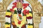 மாகாளியம்மன் விழா: பூச்சாட்டுதலுடன் துவக்கம்