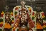 மதுரை கூடலழகர் பெருமாள் கோயிலில் மாசி திருவிழா துவக்கம்