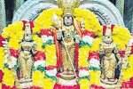 மயிலம் கோவிலில் கிருத்திகை வழிபாடு