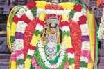 திருப்பாதிரிப்புலியூர் முத்தாலம்மன் கோவில் செடல் திருவிழா