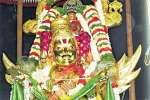 தங்க கருட வாகனத்தில் பூவராக சுவாமி வீதியுலா