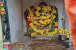 48 நாட்களாக சிவன் சன்னதியில் படுத்திருக்கும் நல்ல பாம்பு: பக்தர்கள் பரவசம்