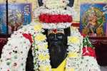 ஆதிசேஷ பதஞ்சலி மஹரிஷியின் குருபூஜை விழா