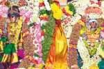 திருச்சுழி திருமேனிநாதர் கோயிலில் பங்குனி தேரோட்டம்