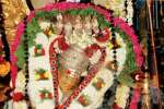 சதுரகிரியில் அமாவாசை வழிபாடு: 4 நாட்கள் பக்தர்கள் அனுமதி