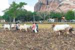 குன்றத்தில் பாரம்பரியமாக நடந்து வரும் 4 ஏர் பூட்டுதல்