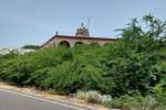 தனுஷ்கோடி ராமர் கோயிலில் முள்மரங்கள்