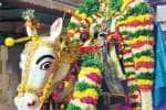 மானாமதுரையில் கள்ளழகர் வேடத்தில் எழுந்தருளிய வீர அழகர்