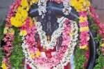 யோக நரசிம்மருக்கு சுவாதி சிறப்பு பூஜை