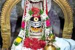 புவனேஸ்வரர் கோவிலில் சித்ரா பவுர்ணமி விழா