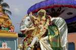 பாலமலை ரங்கநாதர் கோவில் சித்ரா பவுர்ணமி விழா நிறைவு